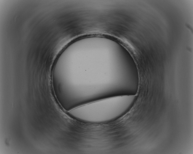 X0000092031279200709061343