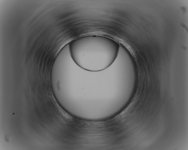 X0000092031281200709061343