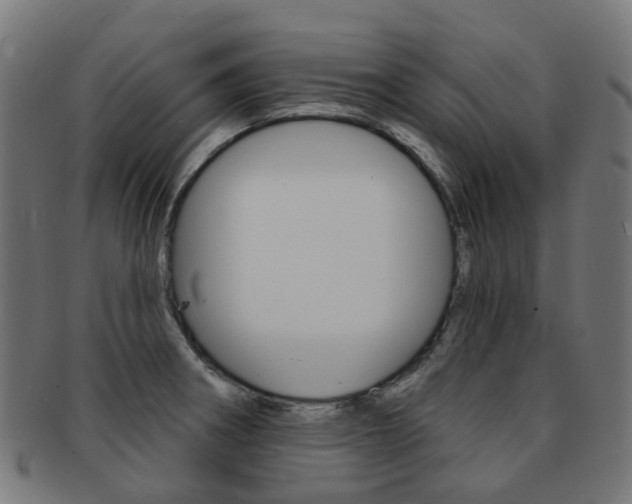 X0000092031282200709061343