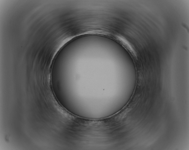X0000092031284200709061343