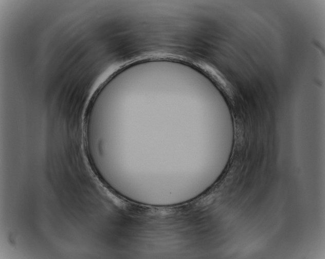X0000092031286200709061343
