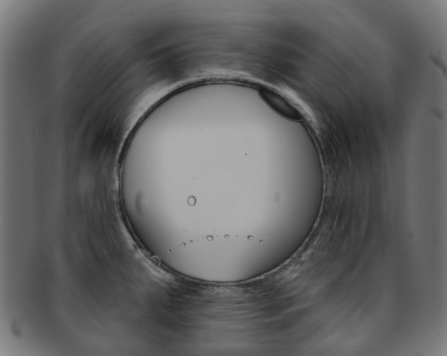 X0000092031287200709061343