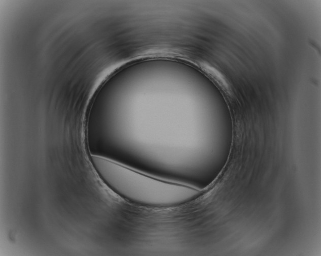 X0000092031288200709061343