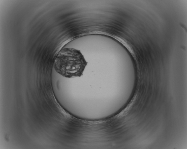 X0000092031289200709061343