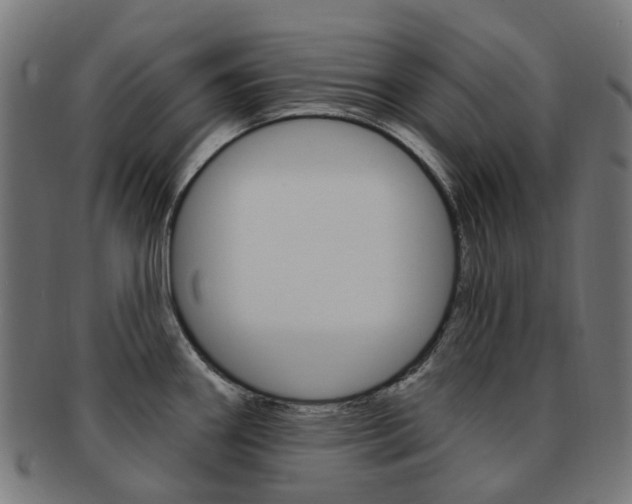 X0000092031290200709061343