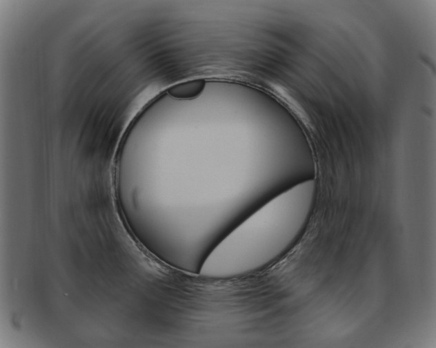 X0000092031291200709061343