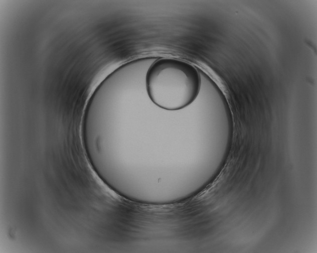 X0000092031293200709061343