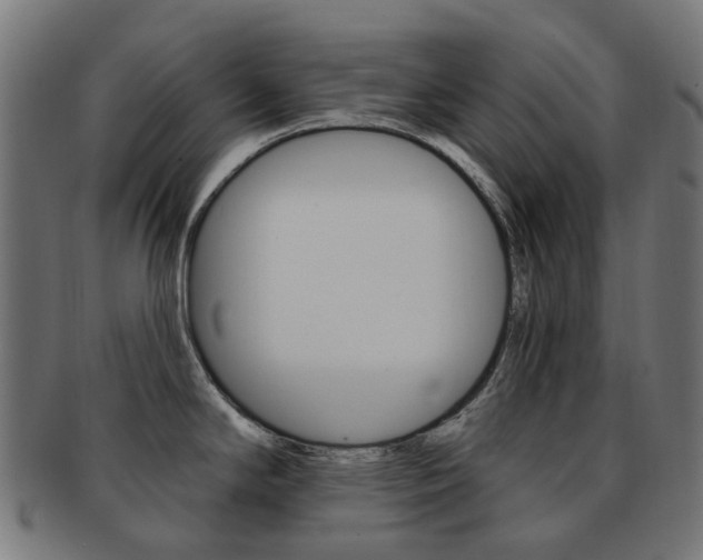X0000092031294200709061343