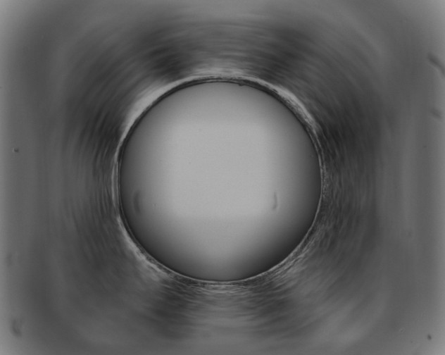 X0000092031295200709061343
