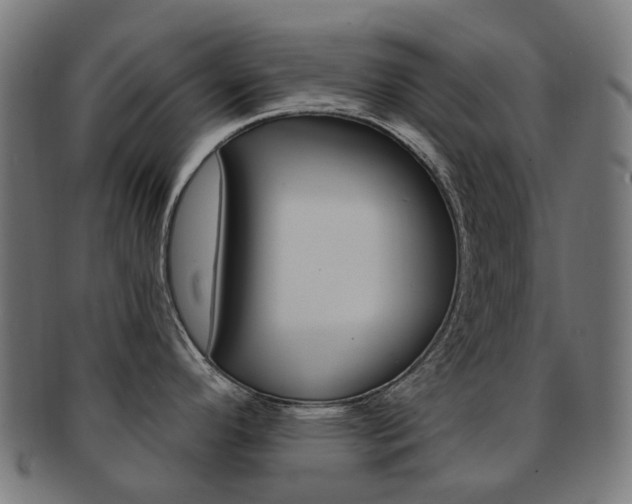 X0000092031296200709061343