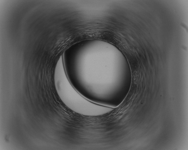 X0000092031298200709061342