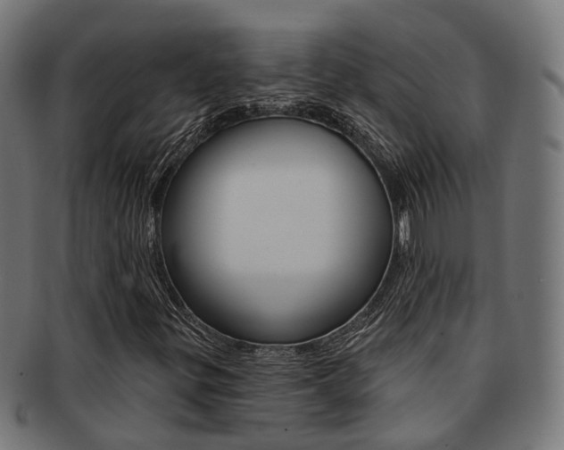 X0000092031299200709061342
