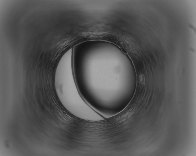 X0000092031300200709061342