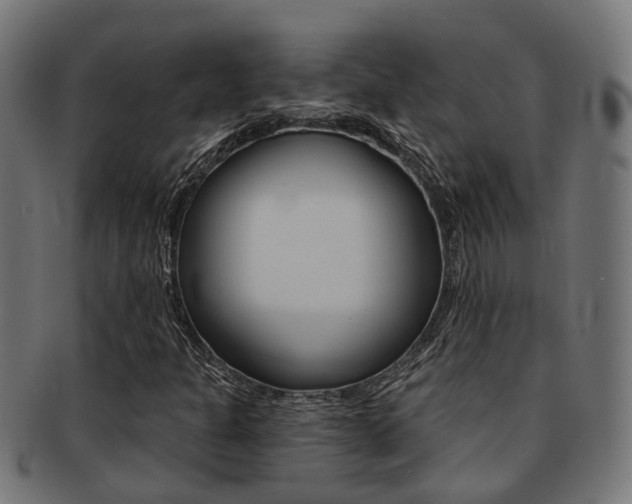 X0000092031301200709061342
