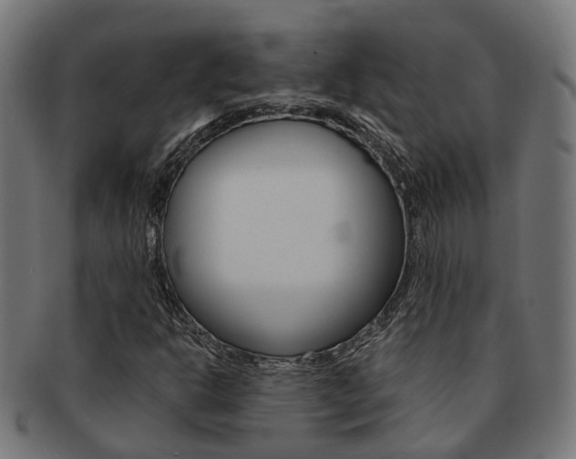 X0000092031302200709061342