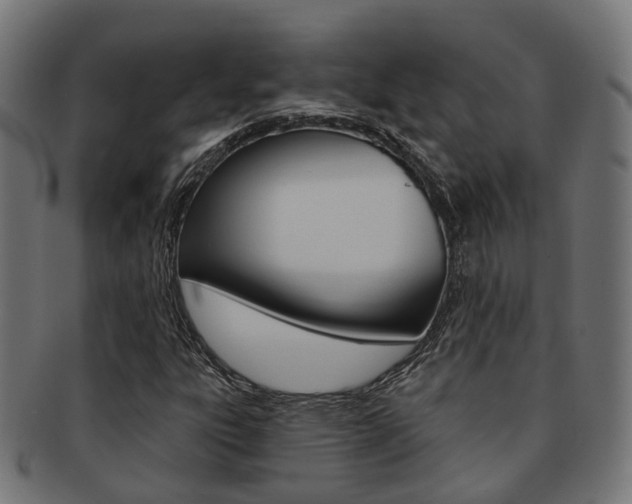 X0000092031303200709061342