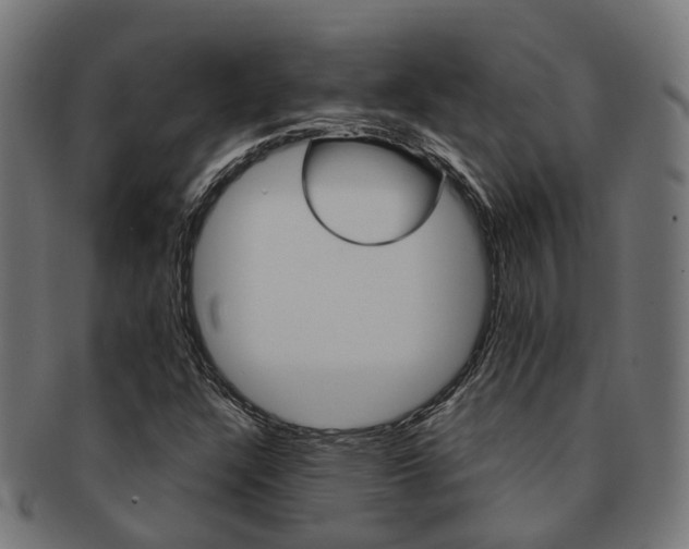 X0000092031304200709061342