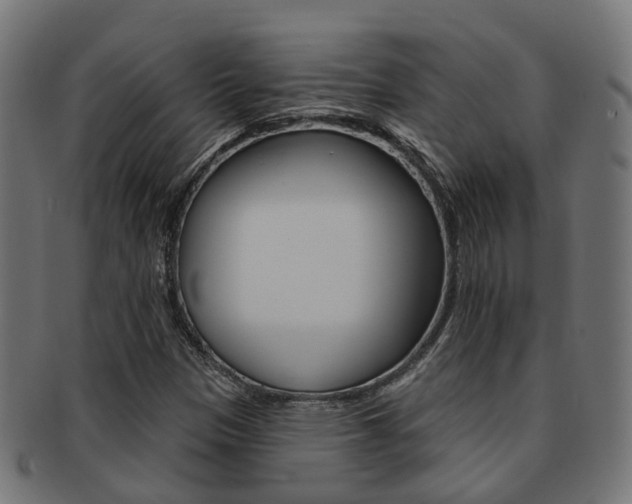 X0000092031305200709061342
