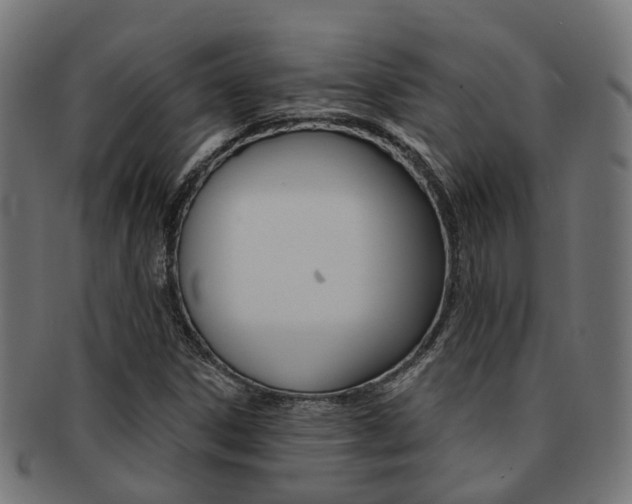 X0000092031306200709061342