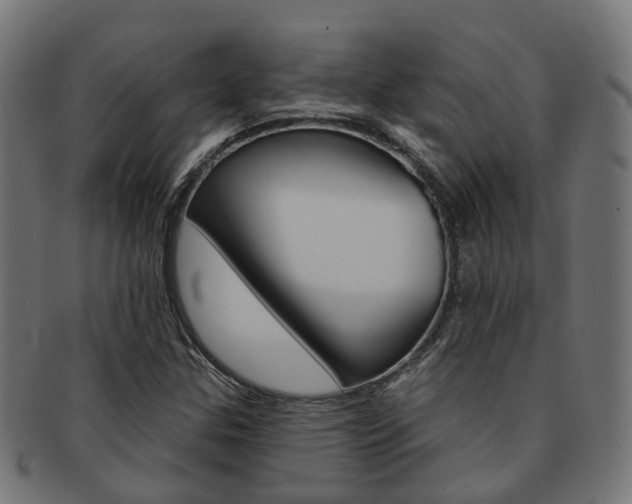 X0000092031307200709061342