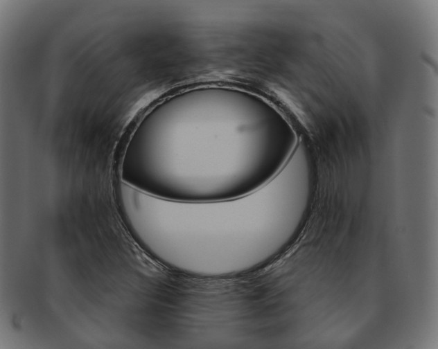 X0000092031308200709061342