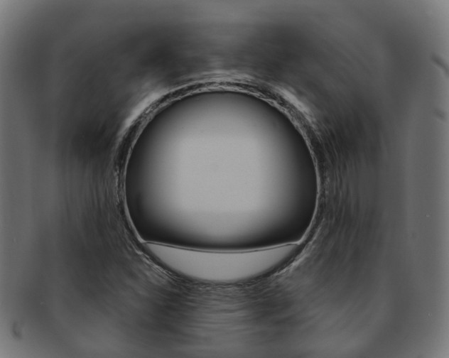 X0000092031310200709061342