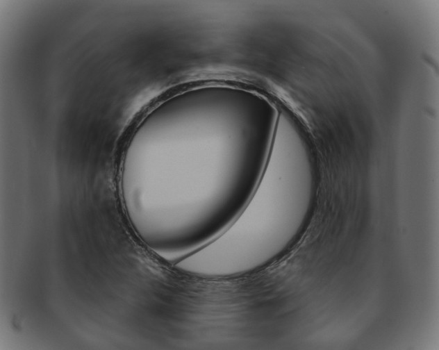 X0000092031312200709061342