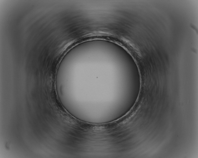 X0000092031313200709061342