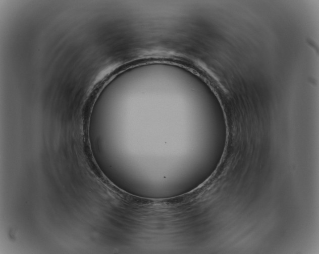 X0000092031315200709061342