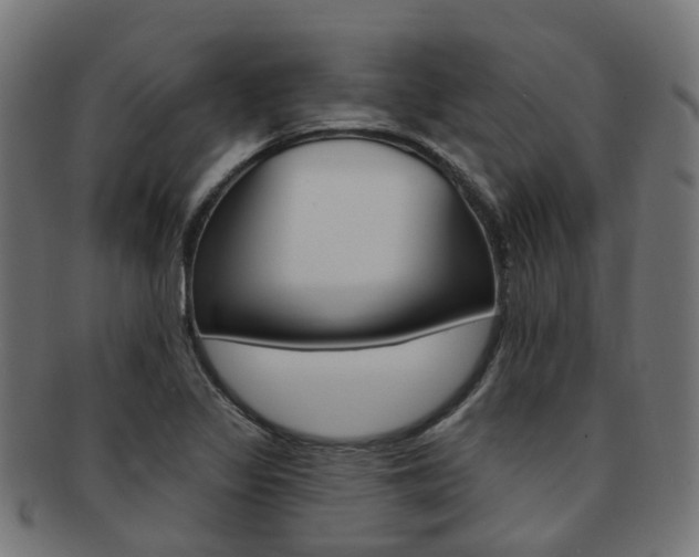 X0000092031317200709061342