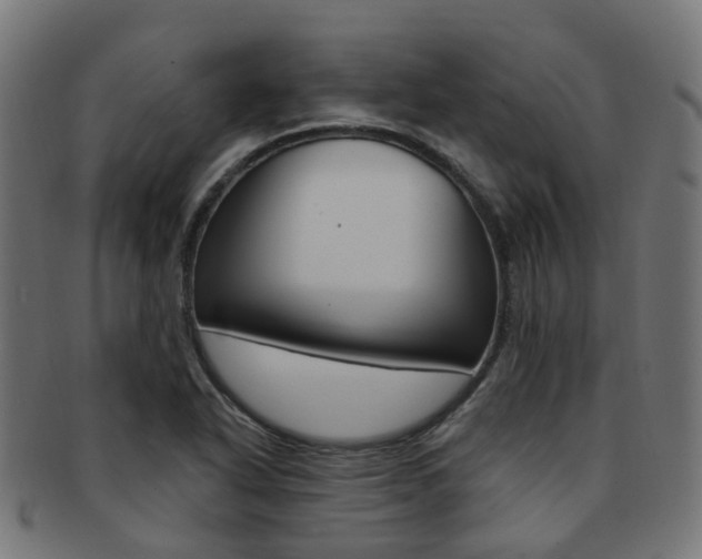 X0000092031318200709061342