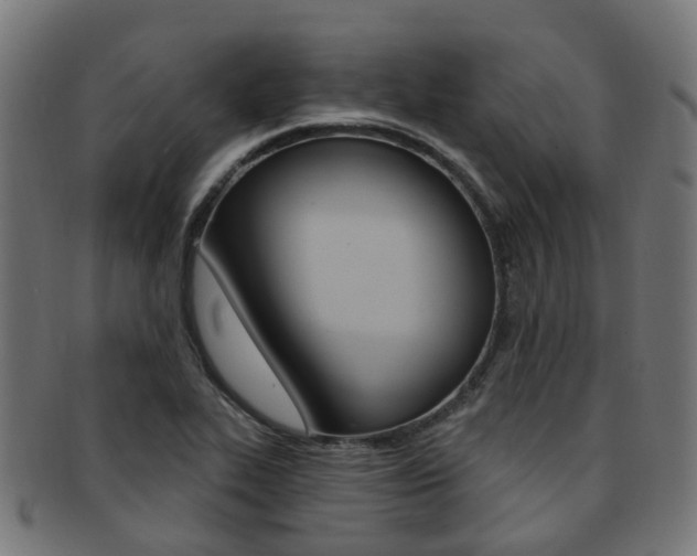 X0000092031319200709061342