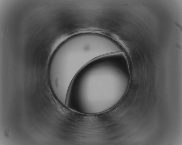 X0000092031320200709061342