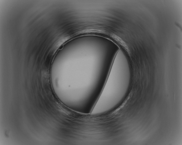 X0000092031321200709061342