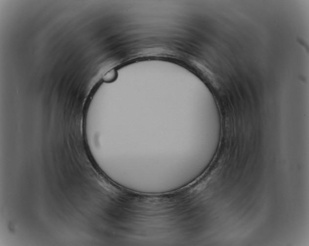X0000092031322200709061343