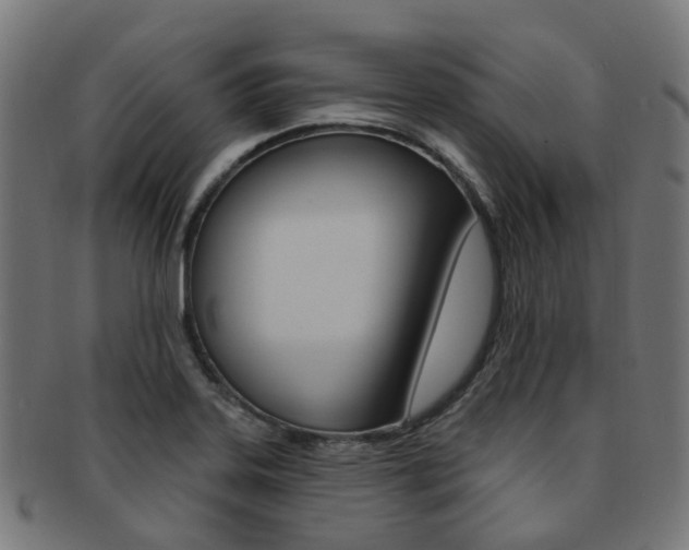 X0000092031323200709061343