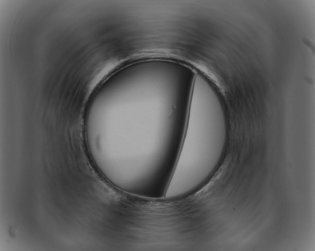 X0000092031325200709061343