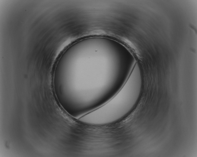 X0000092031326200709061343