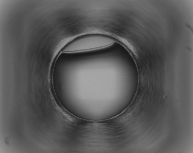 X0000092031327200709061343