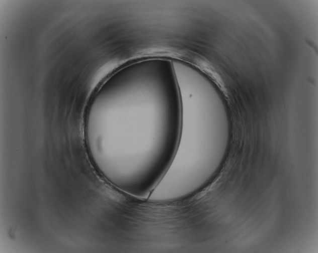 X0000092031328200709061343