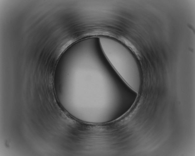 X0000092031329200709061343