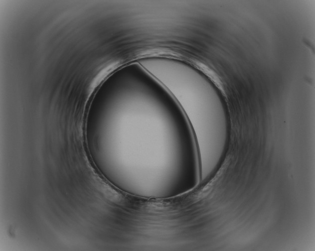 X0000092031330200709061343