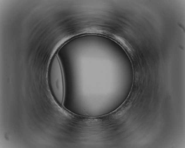 X0000092031331200709061343