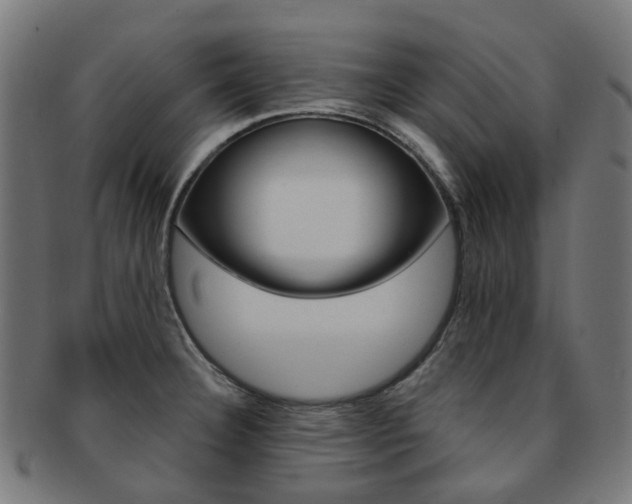 X0000092031332200709061343