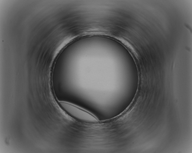 X0000092031333200709061343