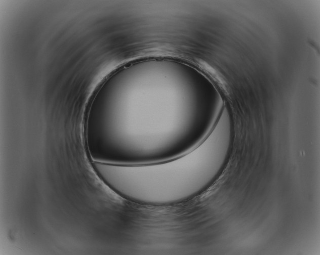 X0000092031334200709061343