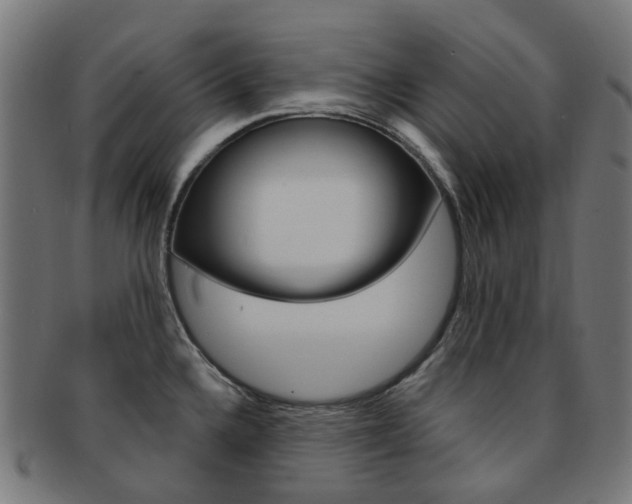 X0000092031336200709061343