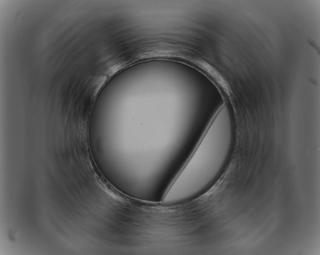 X0000092031337200709061343