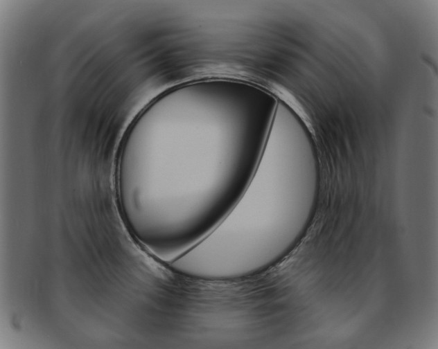 X0000092031339200709061343