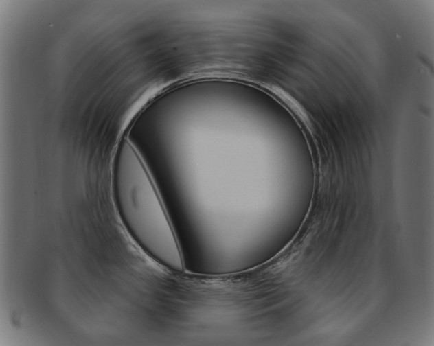 X0000092031341200709061343